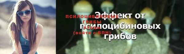 амф Алексеевка