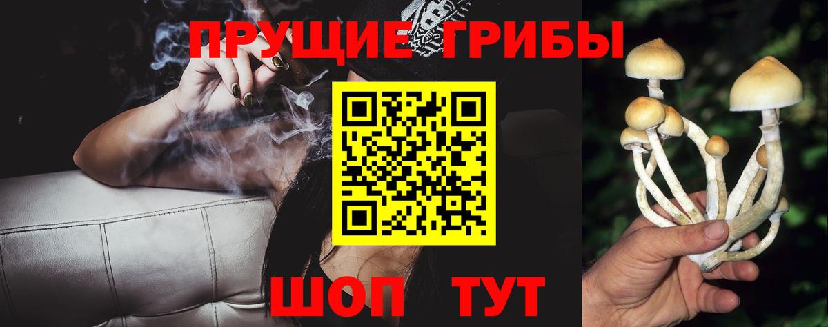 Галлюциногенные грибы ЛСД Новокубанск