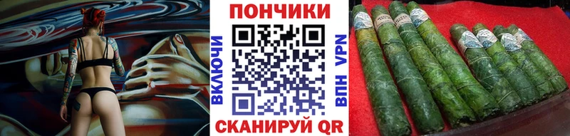 магазин  наркотиков  Новокубанск  Каннабис ГИДРОПОН 