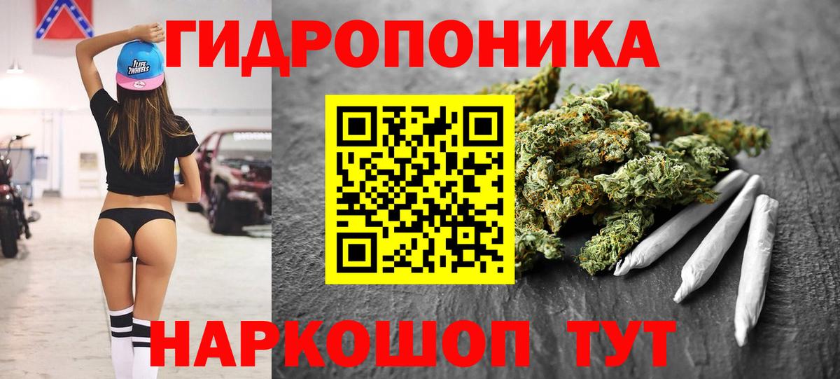 Шишки марихуана марихуана  Вход с VPN  Новокубанск  Марихуана THC 21% 
