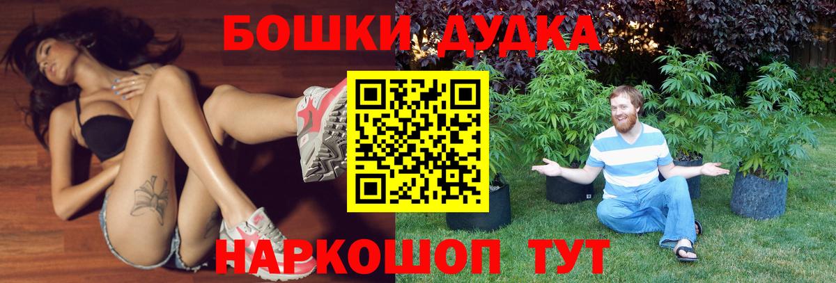 Бошки Шишки гибрид Новокубанск